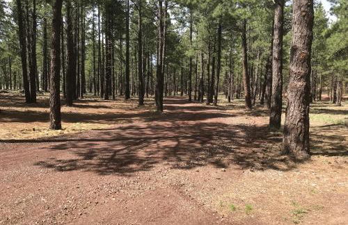 Grand Canyon Cottage at Historic Wrigley Ranch with Horseback Riding & Hiking - Foto 13