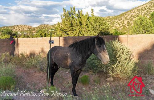 Hillside Haven Retreat - A Placitas Irvie Home - Foto 70