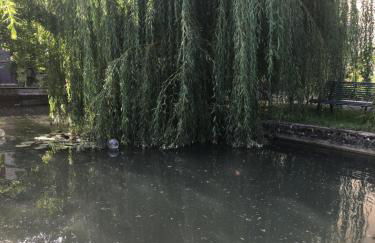 Moulin De Coupigny - Foto 27