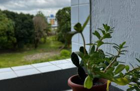 Residencial Havaí - Foto 39