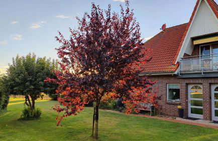 Ferienhaus Mantuja Ferienwohnung II - Foto 17