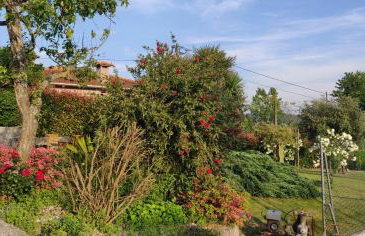 Quinta Lama de Cima - Foto 78