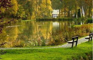 Haus Sonnenschein - Foto 72