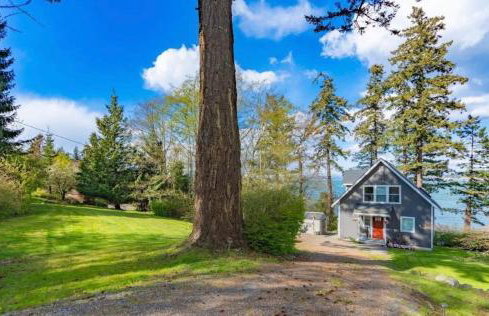 Driftwood Dreams Happy Guests, Lowered Pricing - Foto 68