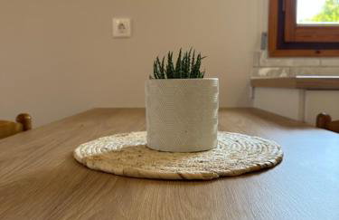 Kavos Apartments Alonissos - Foto 45