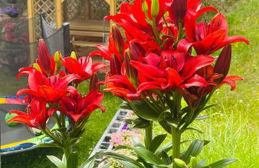 Pogodne Wzgórze - Foto 48