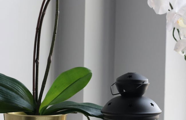 4B Loft Penthouse Industrial City views - Foto 21