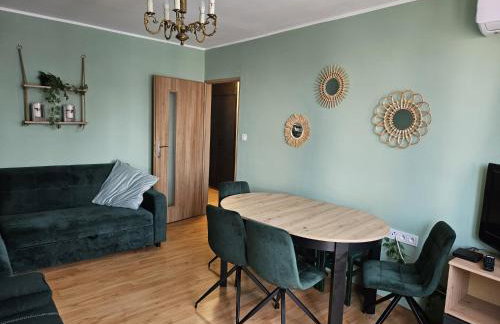 3 pokoje koło Parku przy Żwirki - Photo 7