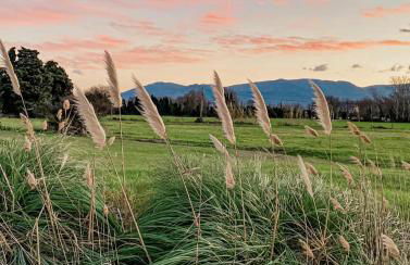 Golf Saint Cyprien ground floor 2 bedrooms Apartment with terrace - Photo 58