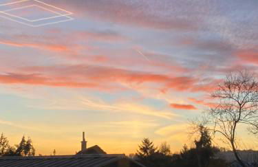 Finkennest - Foto 10