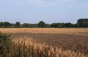 Newbus Grange Lodge The Cottage - Photo 10