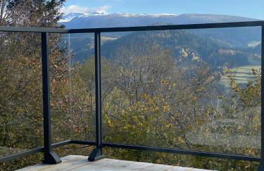 L'Avancée Chalet contemporain au coeur du Sancy AUVERGNE - Foto 23