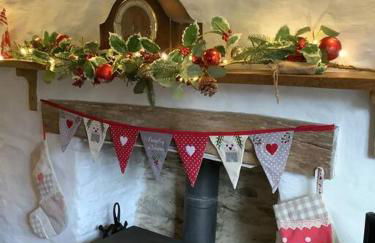 Penrallt-Fach Traditional Welsh cottage Pembrokeshire - Foto 56