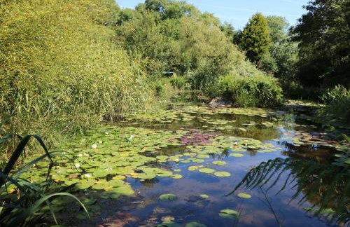 Pond Cottage - Photo 20
