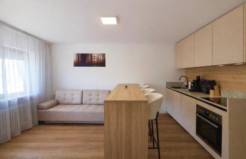 Schwarzwald Zartenbach Apartments - Photo 6