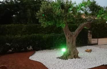 Il Corallo - Foto 43