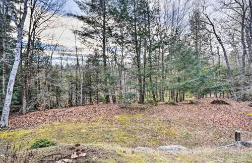 Berkshires Cabin 2 Mi to Appalachian Trail! - Foto 26