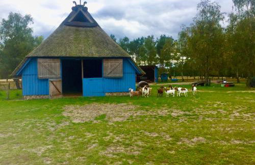 Ferienwohnung Peters - Foto 9