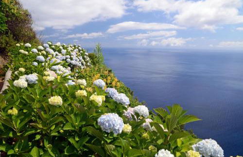 OceanFront Studio - Casa Santo Antonio - Photo 53