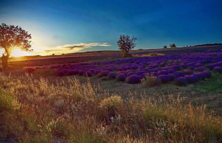 Résidence Château Ferrassières - Foto 112