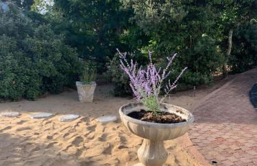 Villa La Plage des Oiseaux proche plage - Foto 18