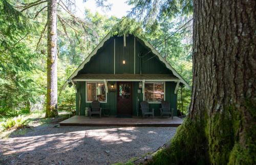 Fog & Fern Hideaway - Cozy Cabin w Private Hot Tub near Mt Rainier - Foto 31