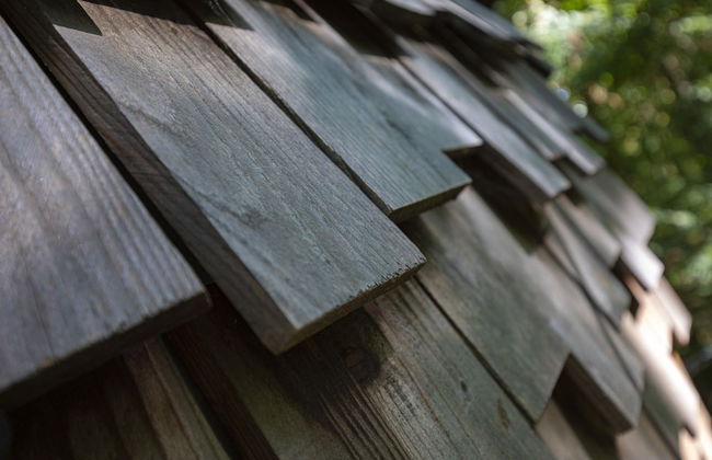 L'Arbre à Cabane - Foto 46