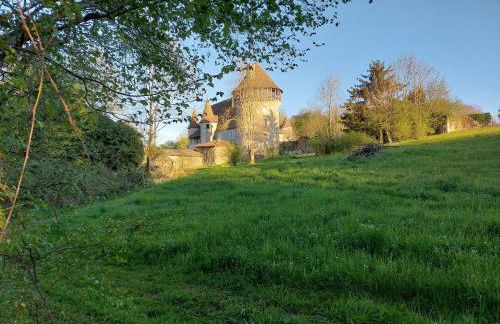 "Le petit bonheur" Gîte van 4 tot 12 personen met privé vijver van 2Ha - Foto 16