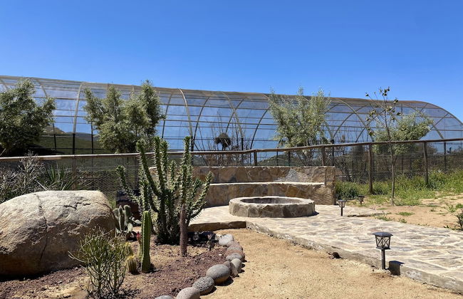 Coquenas del Valle - Photo 37