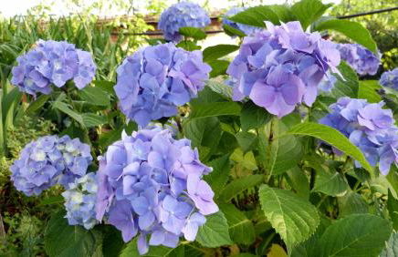 Casa vacanze Ester - Photo 58