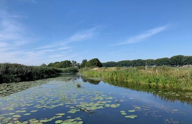 House in Scherpenisse Near Oosterschelde - Foto 45