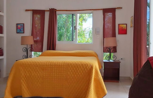 Mini Pini Birdwatching and Cenote Loft4 you Only - Foto 4