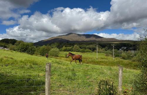 Snowdonia Eryri Cottage, Moel Siabod - Foto 21