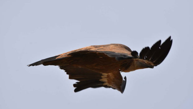 Tour in Cáceres - Photo 4