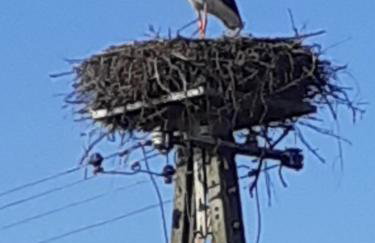 Marcinowa Zagroda - Foto 13