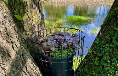 Cichy Zakątek dom całoroczny , Janowiec, Kazimierz Dolny, - Foto 65