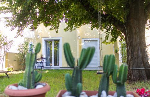 Amarylis Apartments - Foto 11