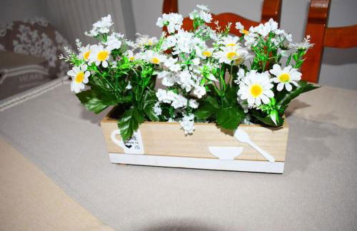 Villino La Perla Azzurra- Marina di Pisa - Foto 26