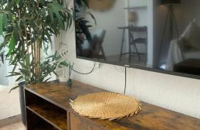 Atlantico Flamingo - Photo 11