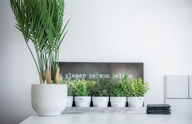 Ivy Cellar - 1 Bedroom Apartment - Tenby - Foto 18