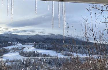 Koperkowy Raj Beskid Wyspowy Domek Małopolska Jacuzzi Playroom - Foto 9