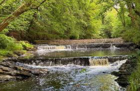 King's Cottage - Foto 17