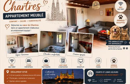 Appartement de la Brèche - Quartier historique Chartres - Foto 3