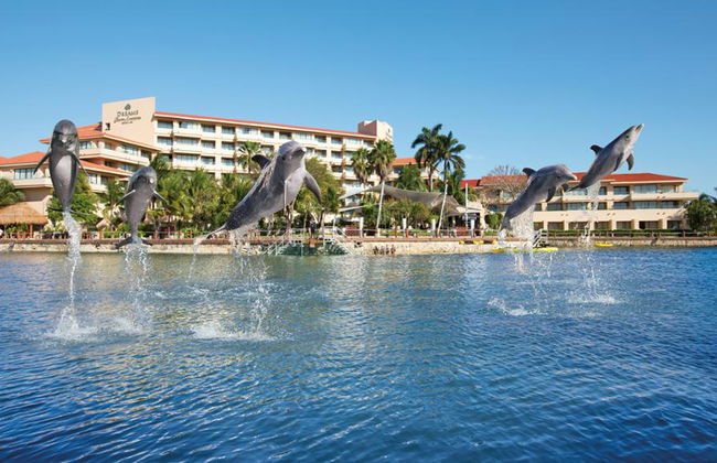 Delfin-Begegnung in Puerto Aventuras - Foto 1