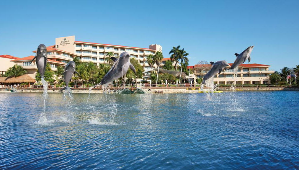 Delfin-Begegnung in Puerto Aventuras - Foto 1