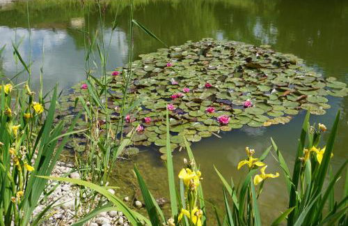 Le gîte et l'étang de pêche - Foto 27