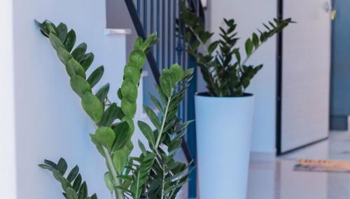 Maison Matilda 1 - Foto 2