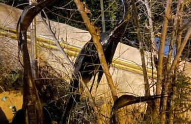 Magnifique vue sur la mer ... - Foto 59