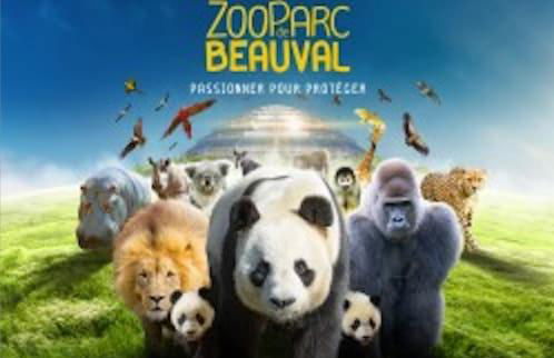 cozy house - Foto 10