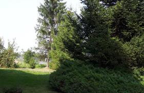 Agroturystyka "JAGAP" OAZA SPOKOJU - Foto 34